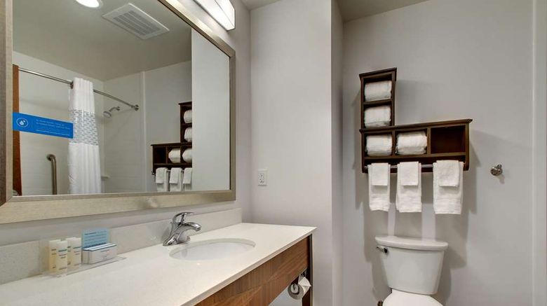 <b>Hampton Inn & Suites Greenville Airport Room</b>. Images powered by <a href="https://iceportal.shijigroup.com/" title="IcePortal" target="_blank">IcePortal</a>.