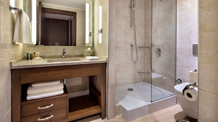 Hilton Garden Inn Izmir Bayrakli Room