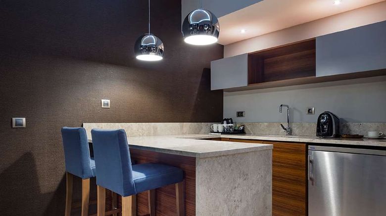 <b>Hilton Garden Inn Izmir Bayrakli Other</b>. Images powered by <a href="https://iceportal.shijigroup.com/" title="IcePortal" target="_blank">IcePortal</a>.