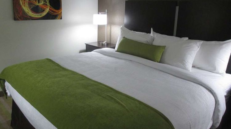 Best Western Harvest Inn & Suites Suite