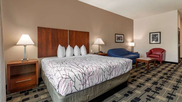 Best Western Plus Big Lake Inn Other