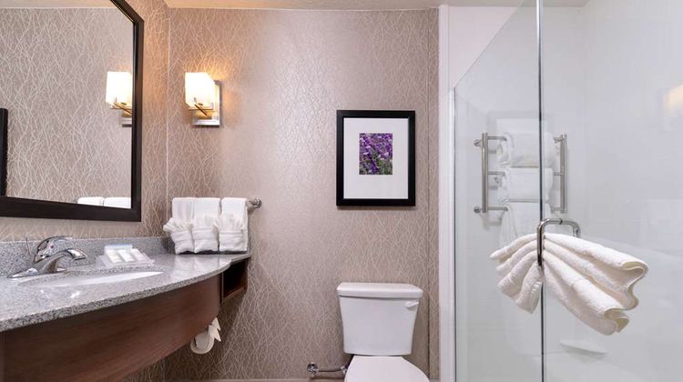 Hilton Garden Inn Hobbs Room