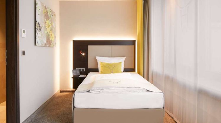 Platzhirsch Fulda Room