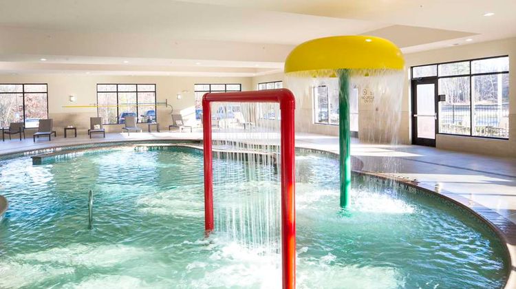 Hilton Garden Inn, Longview Pool
