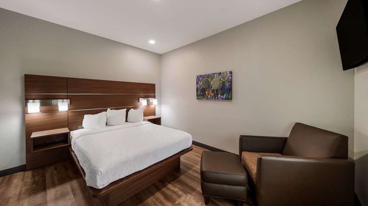 Best Western Bowie Inn & Suites Suite