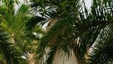 <b>Maroma, A Belmond Hotel Suite</b>. Images powered by <a href="https://iceportal.shijigroup.com/" title="IcePortal" target="_blank">IcePortal</a>.