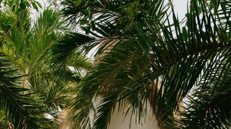 <b>Maroma, A Belmond Hotel Suite</b>. Images powered by <a href="https://iceportal.shijigroup.com/" title="IcePortal" target="_blank">IcePortal</a>.