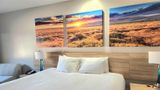 <b>Days Inn & Suites Katy Room</b>. Images powered by <a href="https://iceportal.shijigroup.com/" title="IcePortal" target="_blank">IcePortal</a>.