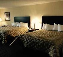 Chestnut Mountain Resort Room