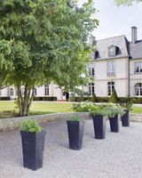 Chateau de Sully