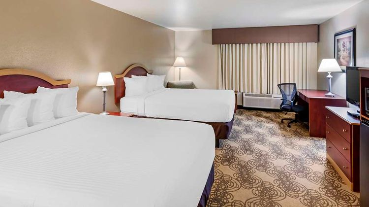 Best Western Elko Inn Room
