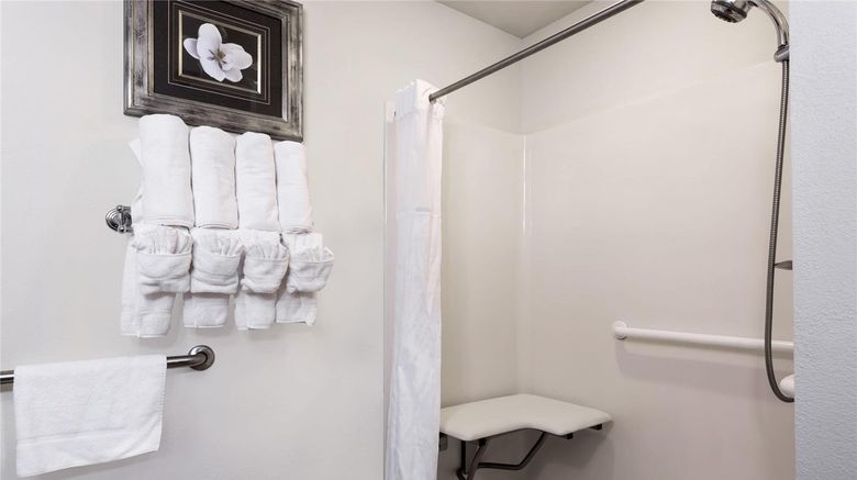 <b>Wingate by Wyndham Athens Near Downtown Room</b>. Images powered by <a href="https://iceportal.shijigroup.com/" title="IcePortal" target="_blank">IcePortal</a>.