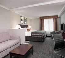 Wingate by Wyndham Athens Near Downtown Room
