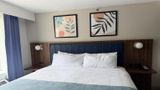 Wingate by Wyndham Athens Near Downtown Room