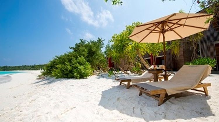 The Barefoot Eco Hotel Other