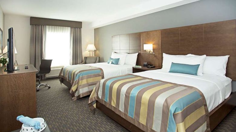 <b>Wingate by Wyndham Calgary Airport Room</b>. Images powered by <a href="https://iceportal.shijigroup.com/" title="IcePortal" target="_blank">IcePortal</a>.