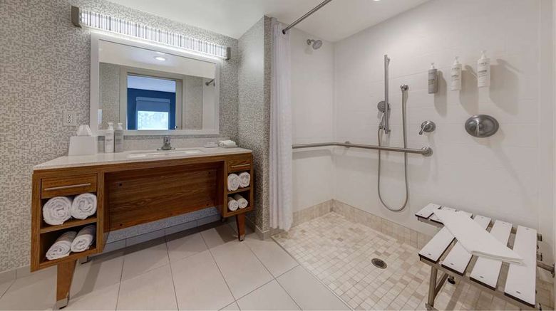 <b>Home2 Suites by Hilton Orlando/Intl Dr S Room</b>. Images powered by <a href="https://iceportal.shijigroup.com/" title="IcePortal" target="_blank">IcePortal</a>.