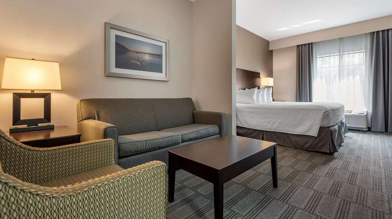 <b>Best Western Plus The Hammondsport Hotel Room</b>. Images powered by <a href="https://iceportal.shijigroup.com/" title="IcePortal" target="_blank">IcePortal</a>.