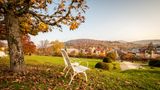 Dorint Resort & Spa Bad Brueckenau Other