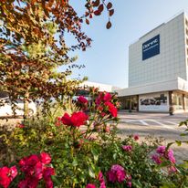 Dorint Hotel Am Main Taunus Frankfurt
