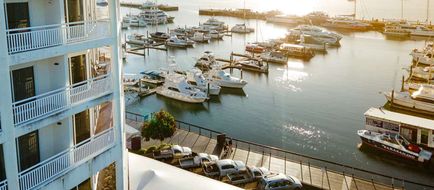 Semiz odamlar lanet yoshlar foto