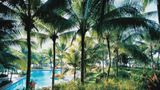 Shangri-La's Mactan Island Resort Pool