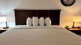 Ramada Birmingham Airport Hotel Room