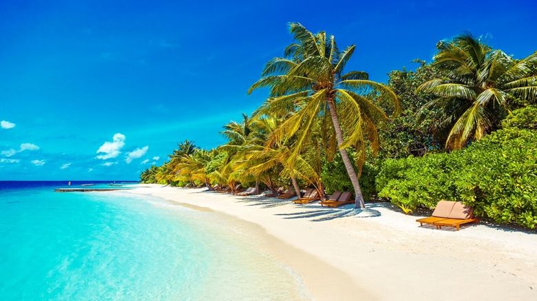 <b>Lily Beach Resort Beach</b>. Images powered by <a href=https://www.travelagewest.com/Hotels/Male-Maldives/