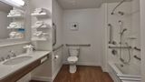 <b>Hampton Inn & Suites Las Cruces I-10 Room</b>. Images powered by <a href="https://iceportal.shijigroup.com/" title="IcePortal" target="_blank">IcePortal</a>.