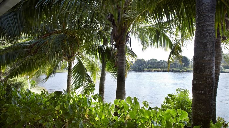 <b>Trianon Bonita Bay Other</b>. Images powered by <a href="https://iceportal.shijigroup.com/" title="IcePortal" target="_blank">IcePortal</a>.