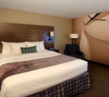Executive Inn & Suites Room