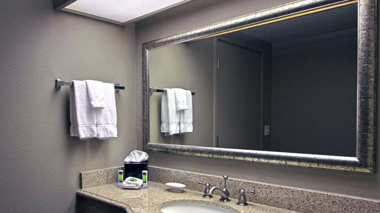 Executive Inn & Suites Room