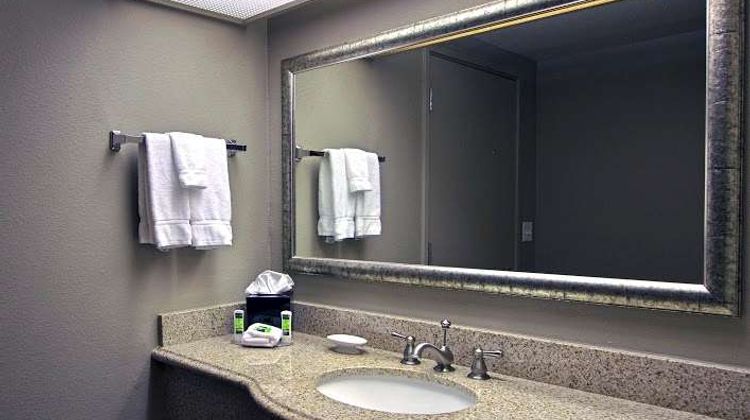 Executive Inn & Suites Room