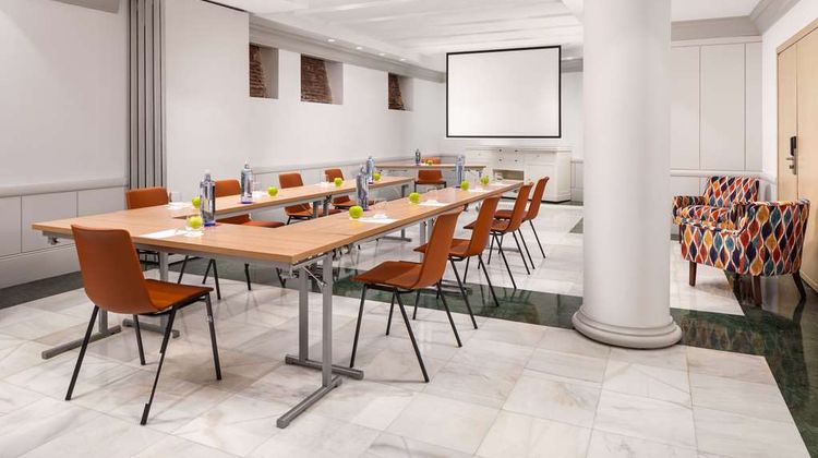 NH Collection Madrid Paseo del Prado Meeting
