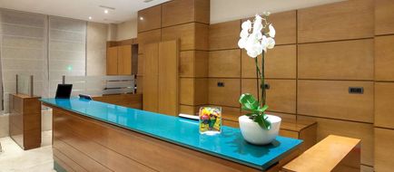 NH San Pedro de Alcantara Lobby
