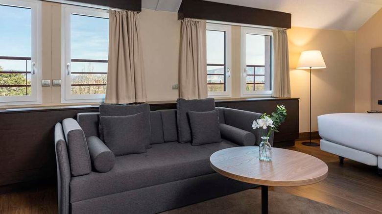 <b>NH Geneva Airport Suite</b>. Images powered by <a href="https://iceportal.shijigroup.com/" title="IcePortal" target="_blank">IcePortal</a>.