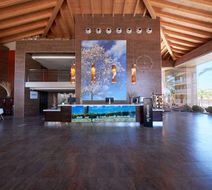 Occidental Cala Vinas Lobby