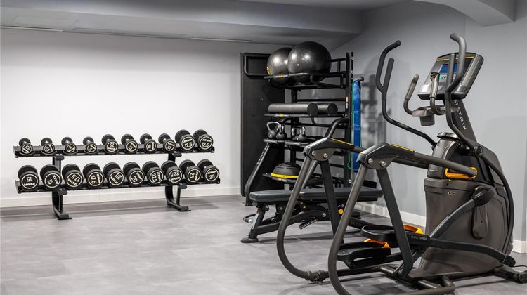 Occidental Santa Cruz Contemporaneo Health