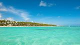 Barcelo Bavaro Beach (adults only) Beach