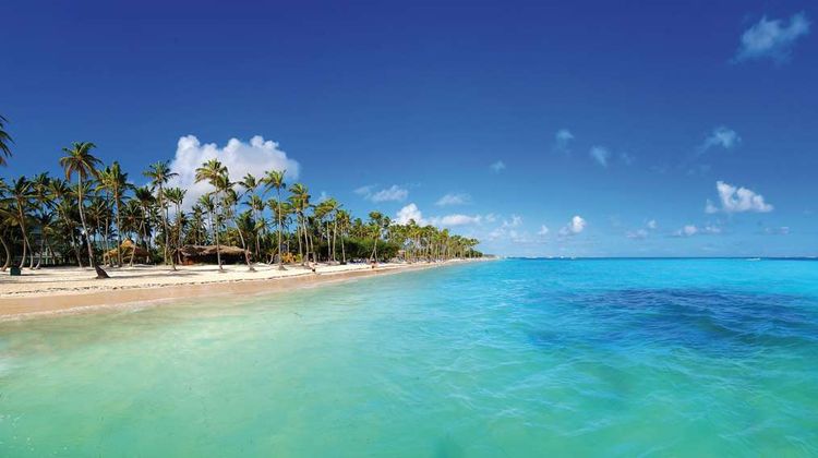Barcelo Bavaro Beach (adults only) Beach