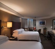 Barcelo Santo Domingo Room
