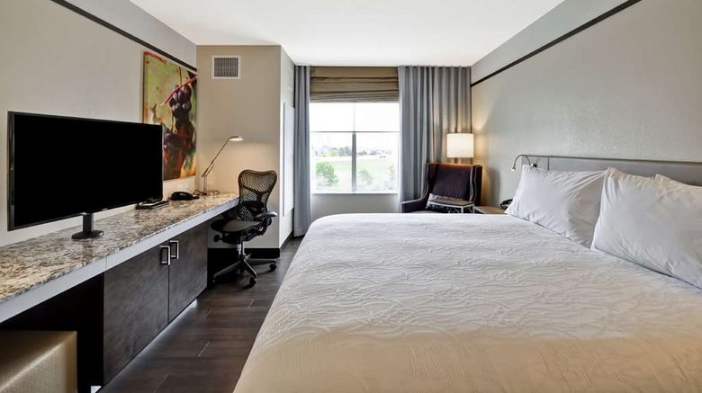 <b>Hilton Garden Inn Detroit Troy Room</b>. Images powered by <a href="https://iceportal.shijigroup.com/" title="IcePortal" target="_blank">IcePortal</a>.