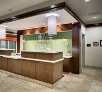 Hilton Garden Inn North Houston Spring Lobby