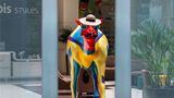Ibis Styles Dragon Mart Dubai Hotel Other