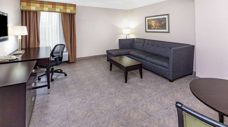 La Quinta Inn & Suites Pharr at Nolana Suite