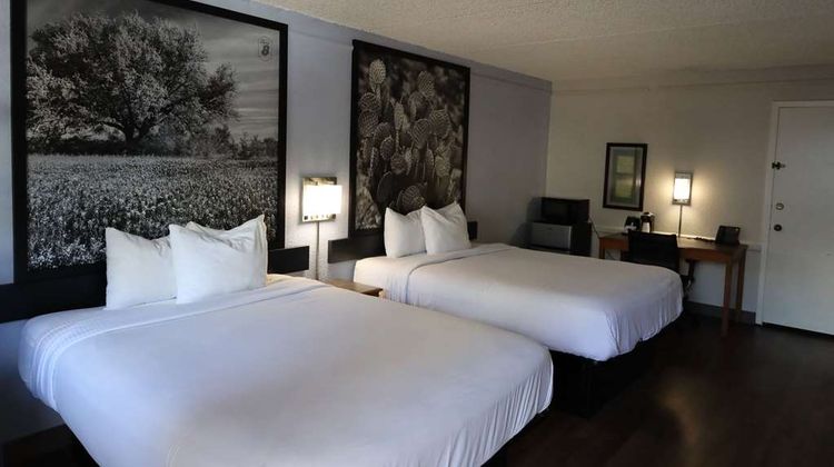 Super 8 by Wyndham Austin South / I-35 Room