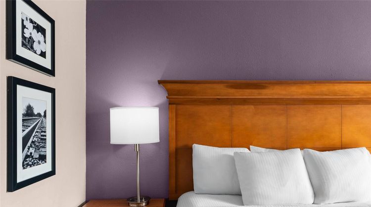 La Quinta Inn & Stes Jackson Airport Room