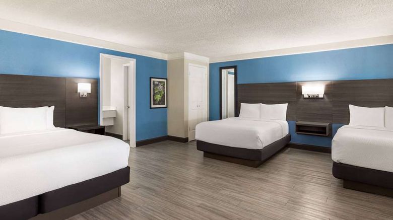 <b>La Quinta Inn San Antonio I-35 N Room</b>. Images powered by <a href="https://iceportal.shijigroup.com/" title="IcePortal" target="_blank">IcePortal</a>.