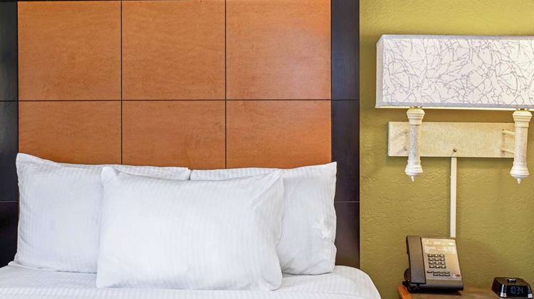 La Quinta Inn Orlando Airport West Room