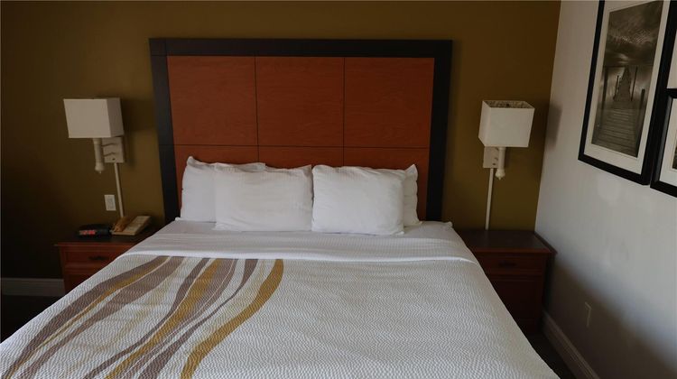 La Quinta Inn & Suites Ocala Room